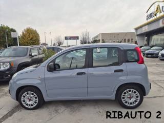 FIAT Panda usata, con Alzacristalli elettrici