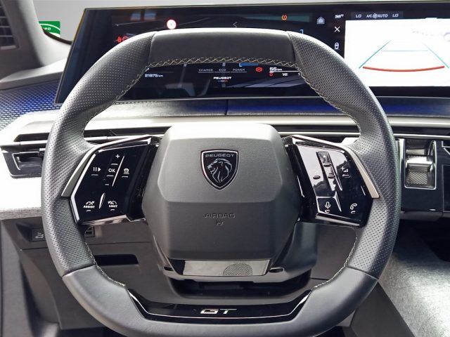 PEUGEOT 3008 usata 11