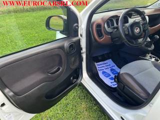 FIAT Panda Cross usata, con Controllo trazione