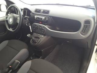 FIAT Panda usata, con Controllo trazione