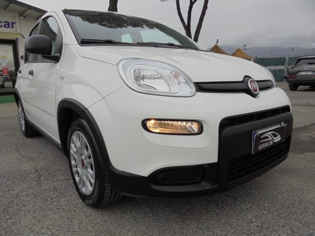 FIAT Panda usata 17
