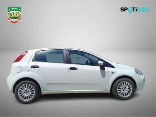 FIAT Punto usata, con Chiusura centralizzata