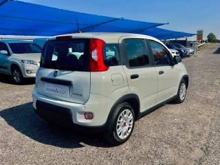 FIAT Panda usata, con Alzacristalli elettrici