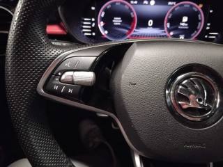 SKODA Fabia usata 25
