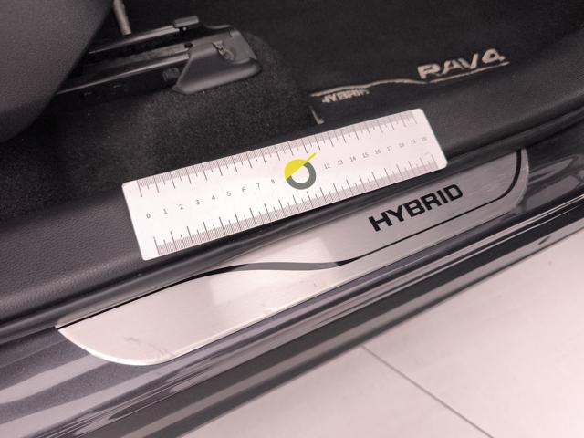 TOYOTA RAV 4 usata, con Luci diurne