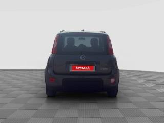 FIAT Panda usata 4