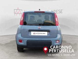 FIAT Panda usata, con Autoradio
