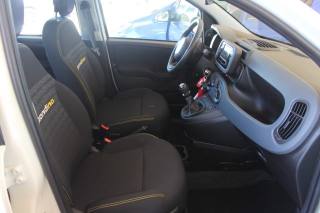FIAT Panda usata 19