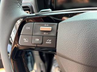 FIAT Doblo usata 18