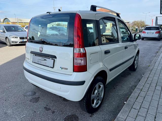 FIAT Panda usata 6