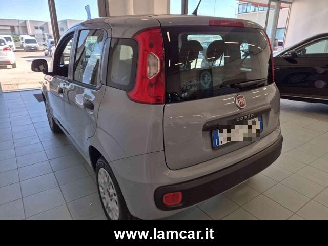 FIAT Panda usata, con Airbag testa