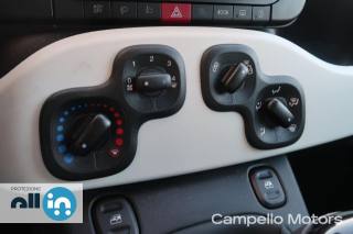 FIAT Panda usata 8