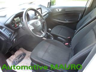 FORD EcoSport usata, con Fendinebbia