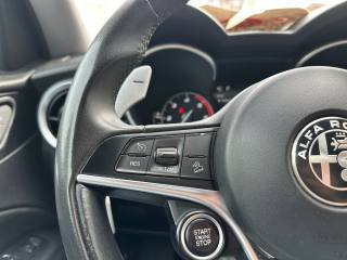 ALFA ROMEO Stelvio usata, con Immobilizzatore elettronico