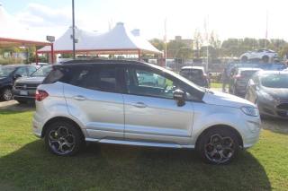 FORD EcoSport usata, con Airbag testa