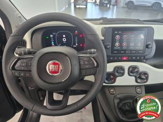 FIAT Panda usata, con Fendinebbia