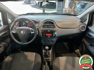 FIAT Punto usata, con Controllo trazione