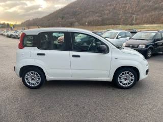 FIAT Panda usata, con Alzacristalli elettrici