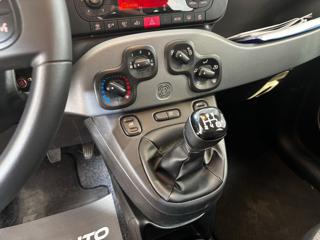 FIAT Panda usata, con Controllo trazione
