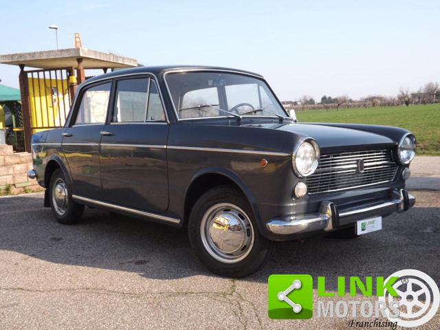 FIAT 1100 usata 43