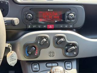 FIAT Panda usata 15