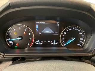 FORD EcoSport usata, con Interni in pelle