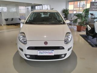 FIAT Punto usata, con Airbag