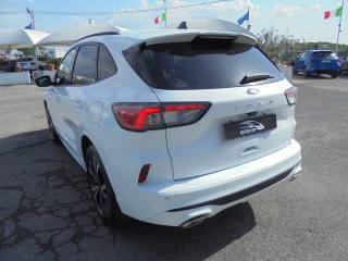 FORD Kuga usata, con Sistema di navigazione