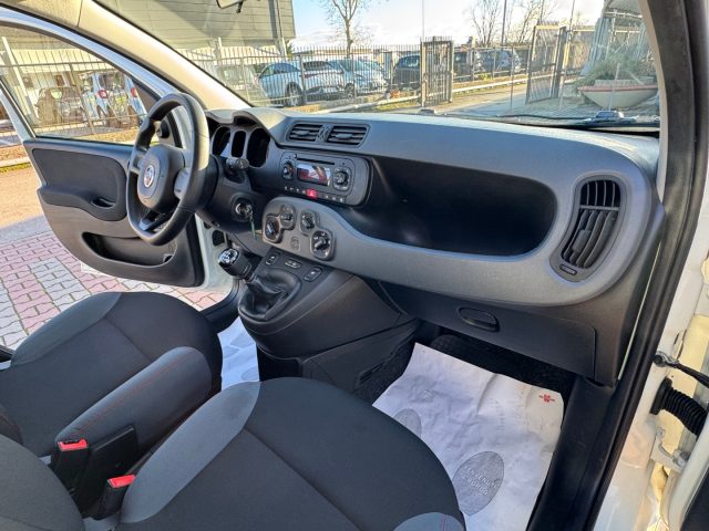 FIAT New Panda usata 18