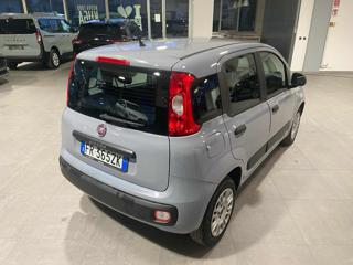 FIAT Panda usata, con Airbag Passeggero