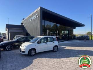 FIAT Panda 1.2 Easy ANCHE PER NEOPATENTATI