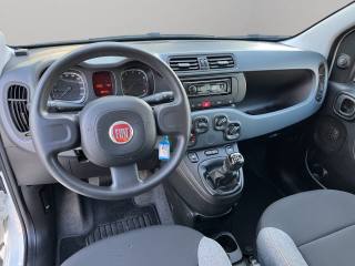 FIAT Panda usata, con Immobilizzatore elettronico