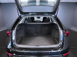 SKODA Octavia usata, con Fendinebbia