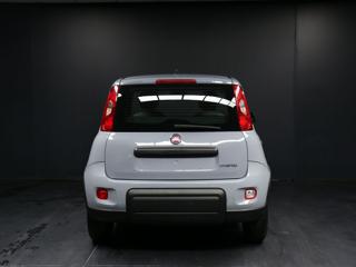 FIAT Panda usata, con Antifurto