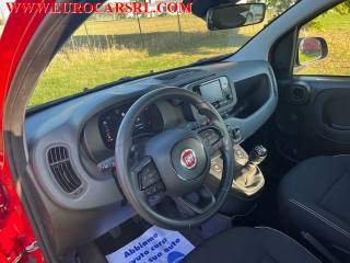 FIAT Panda usata, con Controllo trazione