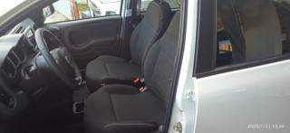 FIAT Panda Cross usata, con Airbag testa