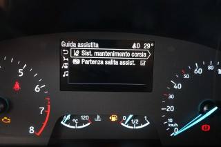 FORD Fiesta usata 50