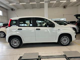 FIAT Panda usata, con Chiusura centralizzata