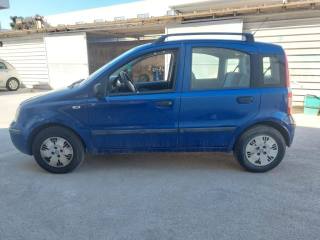 FIAT Panda usata 3