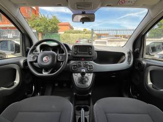 FIAT Panda usata, con Fendinebbia