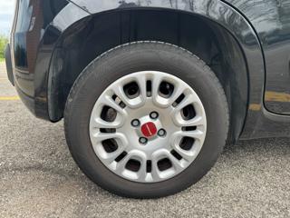 FIAT Panda usata, con Airbag testa