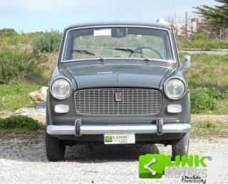 FIAT 1100 usata 1