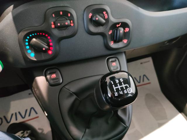 FIAT Panda usata 13
