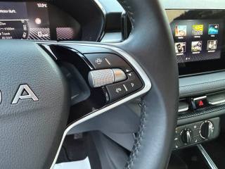 SKODA Fabia usata, con Cronologia tagliandi