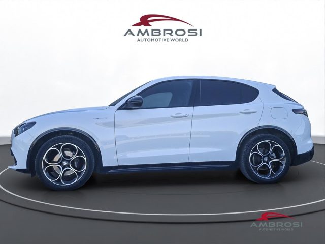 ALFA ROMEO Stelvio usata 5