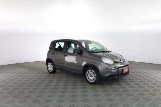 FIAT Panda usata 1