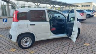 FIAT Panda usata, con Monitoraggio pressione pneumatici