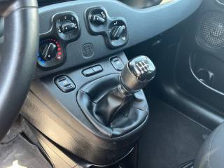 FIAT Panda usata 12