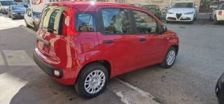 FIAT Panda usata, con Airbag Passeggero