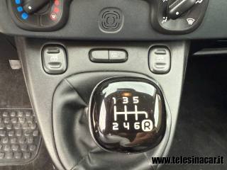 FIAT Panda usata 13